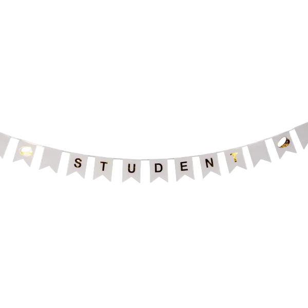 Flagg banner student